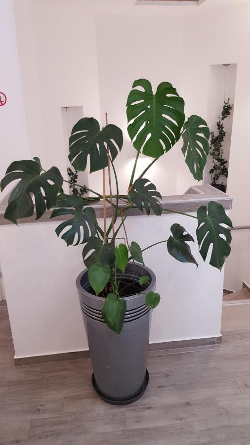 Centar Vodice Apartmani Zewnętrze zdjęcie